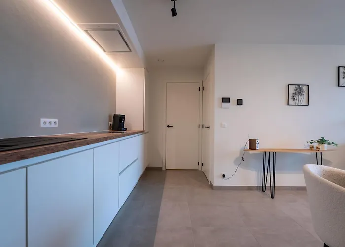 Elyana With Balcony By Interhome 公寓